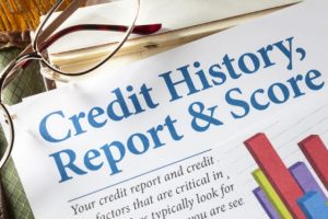 Credit History Report and Score